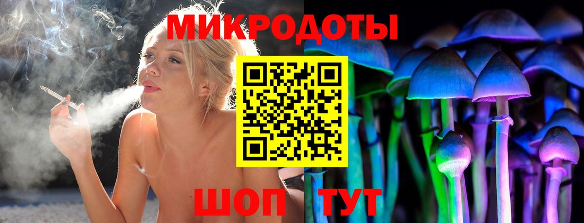 Галлюциногенные грибы Psilocybine cubensis  Вход с VPN  Сорочинск 